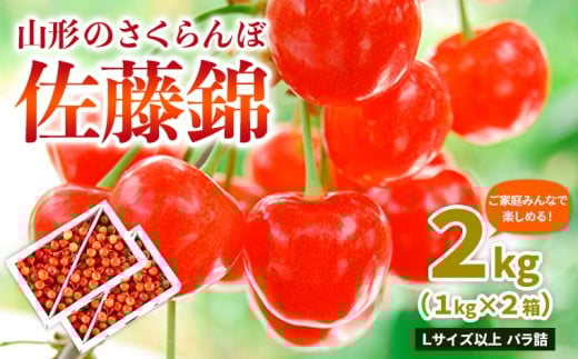 【ご家庭みんなで楽しめる！2kg】山形のさくらんぼ 佐藤錦 2kg Lサイズ以上 バラ詰 (1kg×2箱) 【令和8年産先行予約】FS25-011