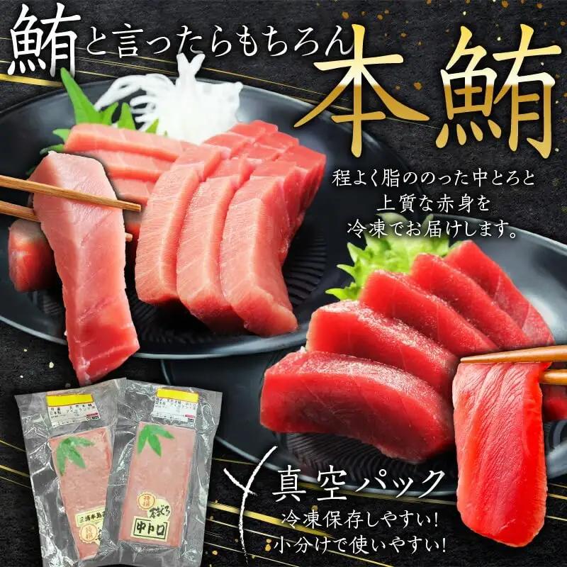 天然 本鮪 中とろ 2柵 ・ 赤身 2柵 M007-008-01 冷凍 マグロ