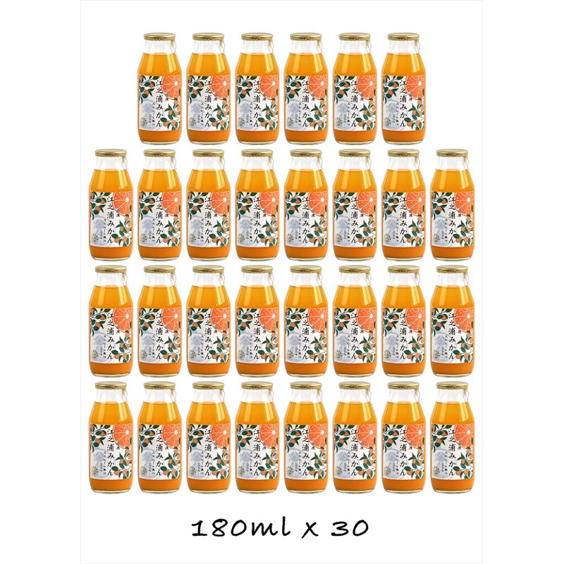 【ふるさと納税】【定期便 （2カ月ごと全6回）】小田原産江之浦みかん100％ストレートジュース180ml30本｜飲料 ストレートジュース 人気 おすすめ 果汁飲料 フルーツドリンク ギフト 定期便 詰め合わせ 送料無料 神奈川県 小田原市