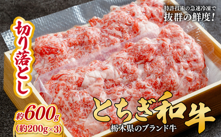 とちぎ和牛の切り落とし 600g（200g×3）【栃木県共通返礼品】 | 和牛 切り落とし 栃木県 茂木町