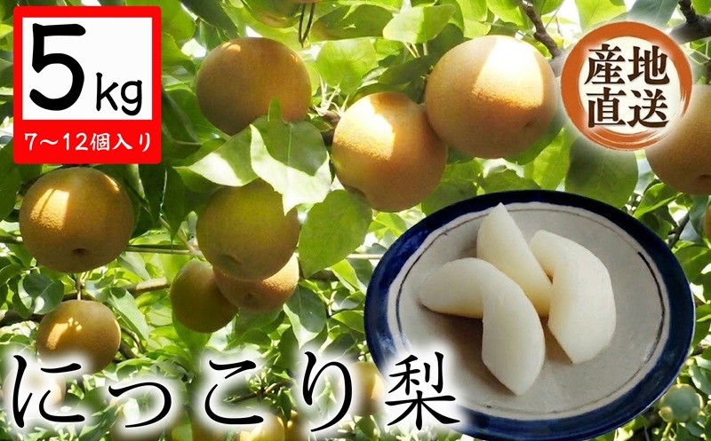 
                  【 産地直送 】 にっこり梨 5kg 先行予約 梨 なし ナシ [CZ003ci]
                