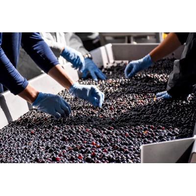 ふるさと納税 池田町 町民用シリーズ6本セット |  | 02