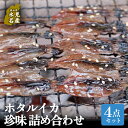 【ふるさと納税】ほたるいか4点セット（素干、魚醤干、天日干し、みりん干し）| ホタルイカ 訳アリ素干 珍味 つまみ おつまみ 干物 酒の肴 乾き物 富山 氷見 富山湾 魚介 無添加 簡単調理 そのまま 焼くだけ 冷凍 たっぷり 大容量 魚醤 天日 みりんセット 詰め合わせ