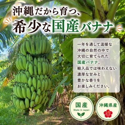 ふるさと納税 西原町 JAおきなわが厳選!季節の沖縄県産バナナ約2kg(旬の品種おまかせ) |  | 01