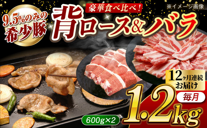 
            【月1回約1.2kg×12回定期便】大西海SPF豚 背ロース＆バラ（焼肉用）計約14.4kg 長崎県/長崎県農協直販 [42ZZAA107]
          