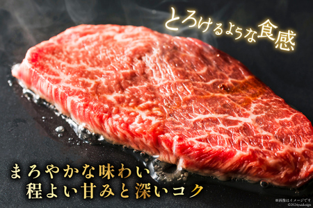 長崎和牛 焼肉 ロース 250g [和牛セレブ 長崎県 雲仙市 item1975] 牛肉 和牛 肉 お肉 牛 牛ロース 焼き肉