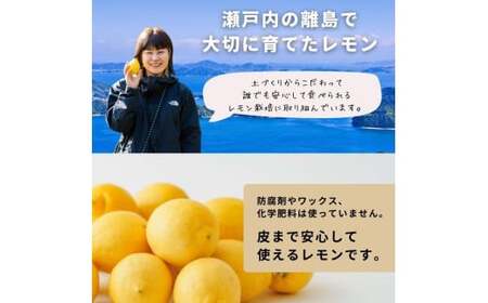 オーガニック瀬戸内レモン 10kg [12月〜6月出荷]  有機JAS ワックス不使用 防腐剤不使用 安心 安全 国産 瀬戸内レモン 大崎上島 有機レモン オーガニック食品 送料無料 産地直送 ふじや