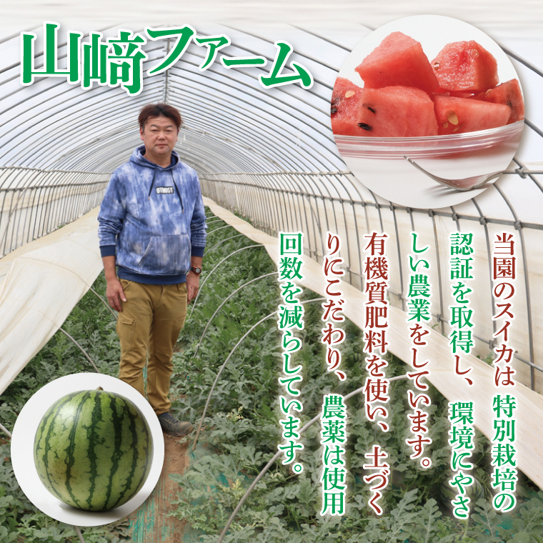 【先行予約 6月中旬から順次配送】すいか 羅皇 ザ・スイート 3L（1玉入り）【果物 甘い スイカ　西瓜 茨城県 阿見町産】(76-02)