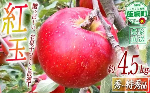 りんご 紅玉 秀 ～ 特秀 4.5kg 中村ファーム 沖縄県への配送不可 2026年9月中旬頃から2026年11月上旬頃まで順次発送予定 令和8年度収穫分 長野県 飯綱町 [0557]