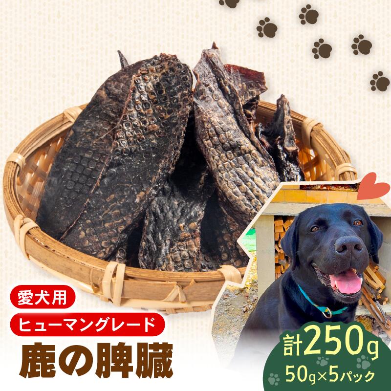 【ふるさと納税】 ペットフード シカ の 脾臓 50g×5個 セット ドックフード ペット 犬 いぬ イヌ わんちゃん ワンちゃん用 愛犬 小型犬 中型犬 大型犬 高タンパク 高たんぱく 低脂肪 低カロリー 鹿肉 動物 餌 エサ おやつ ごはん ご褒美 滋賀県 日野町 ジビエ商店かやき