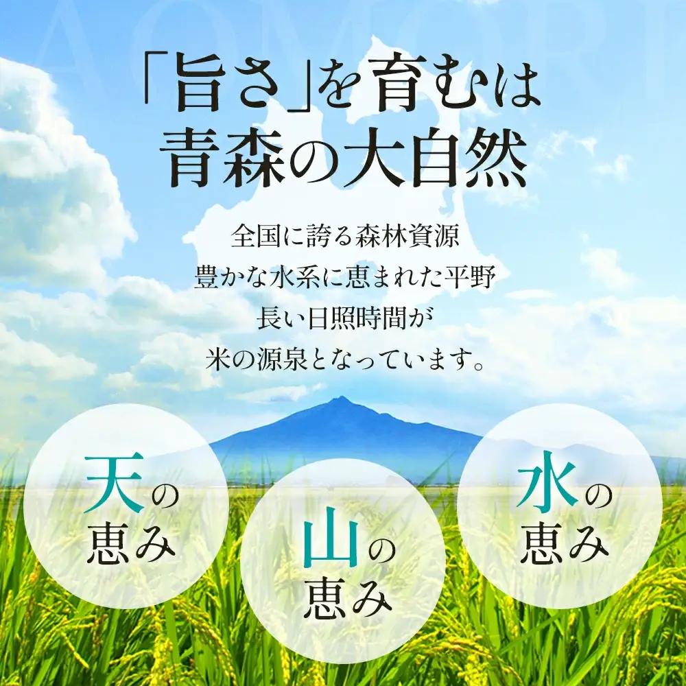 青天の霹靂　精米10kg（5kg×2袋）　【02408-0110】