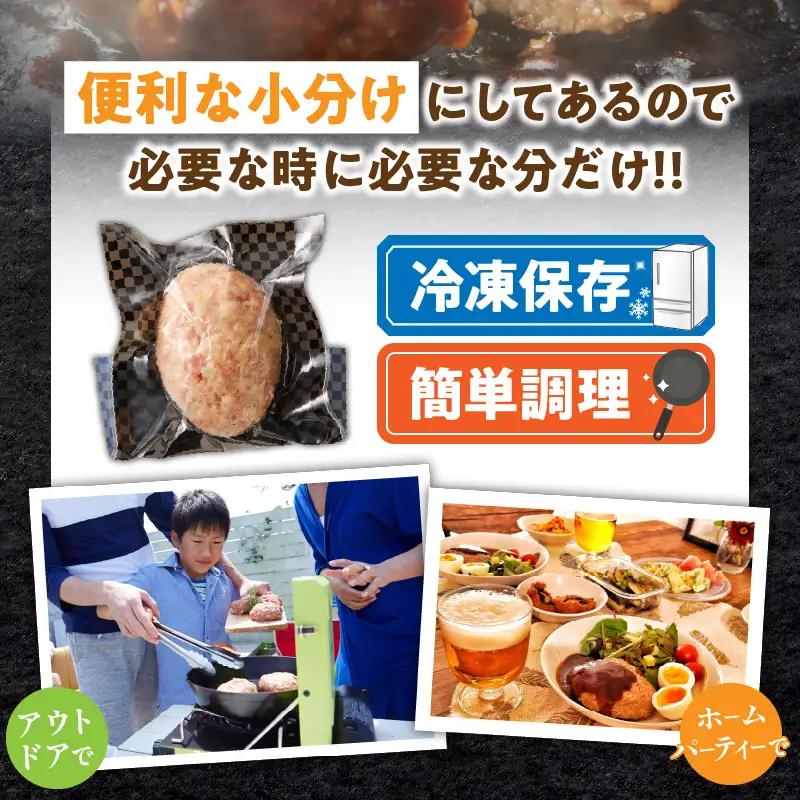【ふるなび限定】宮崎県産豚プレミアムハンバーグ(計20個) 肉 豚肉 加工品 惣菜 国産_T001-0125