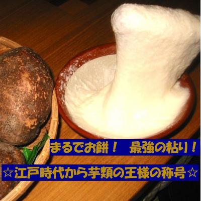 ふるさと納税 京都市 【芋家なか吉】スペシャル丹波山の芋☆二刀流☆セット (11月収穫プレミアム特選品つくね芋) |  | 01