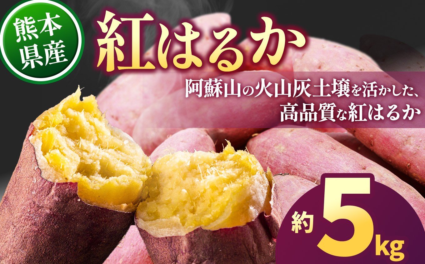 
                  紅はるか 約5kg（9~38個） | 紅はるか さつまいも 野菜 高品質 芋 甘い ねっとり 熊本県 玉名市
                