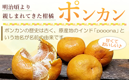 ＜愛媛県西予市産 ポンカン 約9kg 家庭用＞ 訳あり ワケアリ 果物 くだもの ミカン 蜜柑 柑橘 ぽんかん おいしい フルーツ サイズ不揃い ご自宅用 果実 果肉 ジューシー 特産品 段畑みかん 