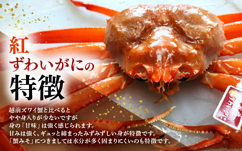 【訳あり】≪浜茹で≫越前産 紅ずわいがに × 1杯（生で約880g～1kg）【紅ズワイガニ カニ かに 蟹】【紅ずわいがに】【11月発送分】 [e80-x001【】11]