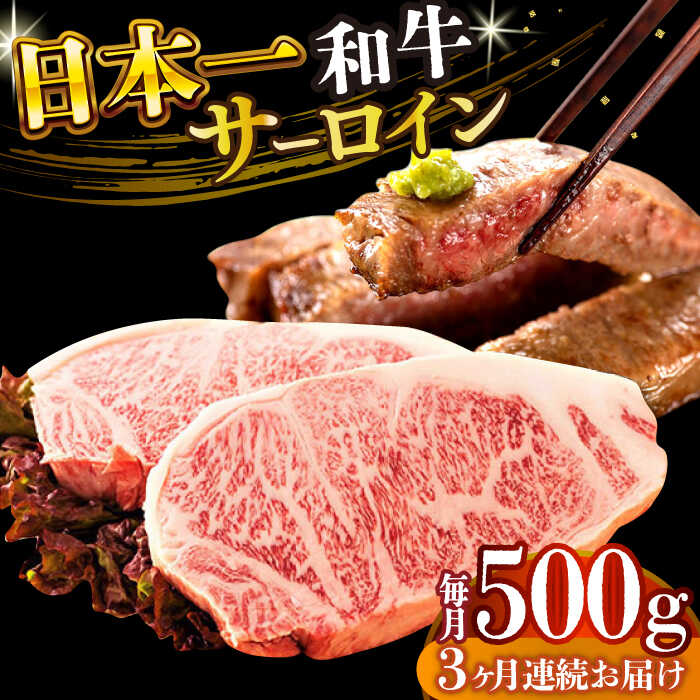 【ふるさと納税】【全3回定期便】【A4〜A5】長崎和牛サーロインステーキセット　500g（250g×2枚）【株式会社 MEAT PLUS】[DBS086]