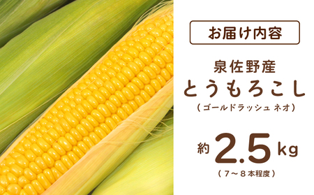 【先行予約】とうもろこし(ゴールドラッシュ ネオ) 約2.5kg（7～8本）