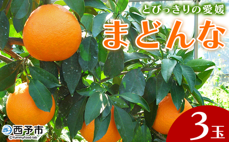 紅まどんなと同品種！＜とびっきりの愛媛 まどんな（3玉）＞マドンナ 愛媛果試第28号 果物 柑橘 フルーツ 期間 旬 季節限定 特産品 産地直送 片山果樹園 西宇和 愛媛県 西予市【常温】『2025年12月中旬～2026年1月上旬迄に順次出荷予定』MKK0009
