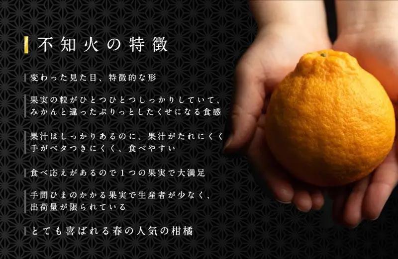 不知火 5kg 赤秀 不知火