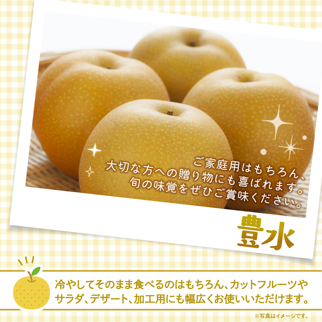 豊水 梨 約10kg 【2026年9月より発送開始】（茨城県共通返礼品 [梨]：大子町産） なし 旬 お取り寄せ フルーツ 甘い ジューシー 和梨 時期 [FC06-NT]