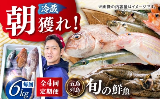 【4回定期便】朝獲れ鮮魚セット6kg【五島列島直送】五島市/鯛福丸水産[PDP015]鮮魚BOX 詰め合わせ 詰合せ せんぎょ 冷蔵 刺身 魚 海鮮 直送 さかな 新鮮人気 おすすめ