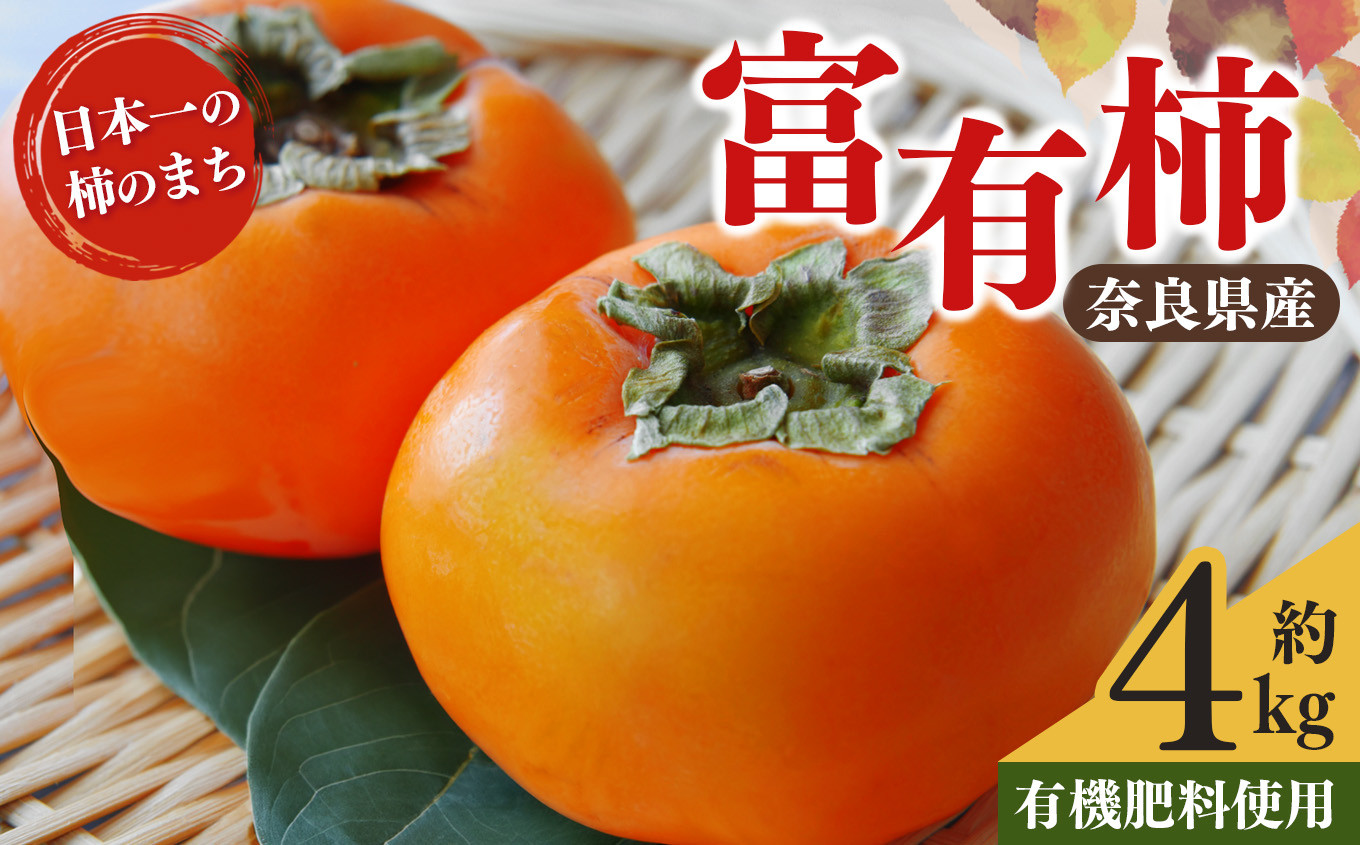 
                  富有柿 約 4kg  | フルーツ くだもの 果物 柿 かき カキ 奈良県 五條市 果実 11月 12月 発送 秋 旬 味覚 グルメ お取り寄せ 送料無料 大容量 選べる 容量 農家直送 産地直送 ビタミン タンニン 食物繊維 豊富 美容 健康 梨子本農園 特産品 多汁 甘い 柔らかい ジューシー 甘柿 王様 みずみずしい エコファーマー認定
                