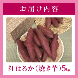 【2026年12月より発送】焼き芋好きのための黄金色で蜜たっぷりサツマイモ 紅はるか 約5kg｜さつまいも サツマイモ お芋 紅はるか 蜜 やきいも 焼き芋 ヤキイモ 茨城県 行方市(BI-71)
