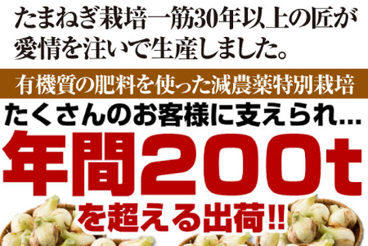 【新たまねぎ】今井ファームの淡路島たまねぎ「かくし玉」 2kg【発送時期2025年4月下旬～5月頃】