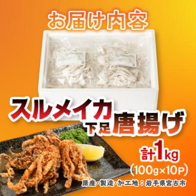 ふるさと納税 宮古市 スルメイカ下足唐揚げ宮古産100g×10パック(1kg) |  | 03