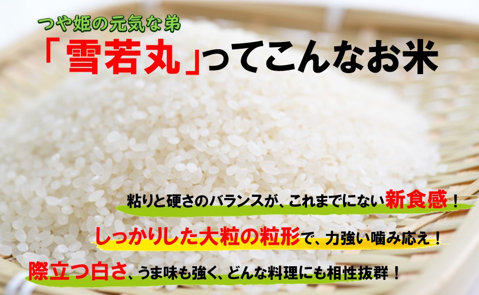 マイスターがつくる　雪若丸　白米10kg【新米予約】 