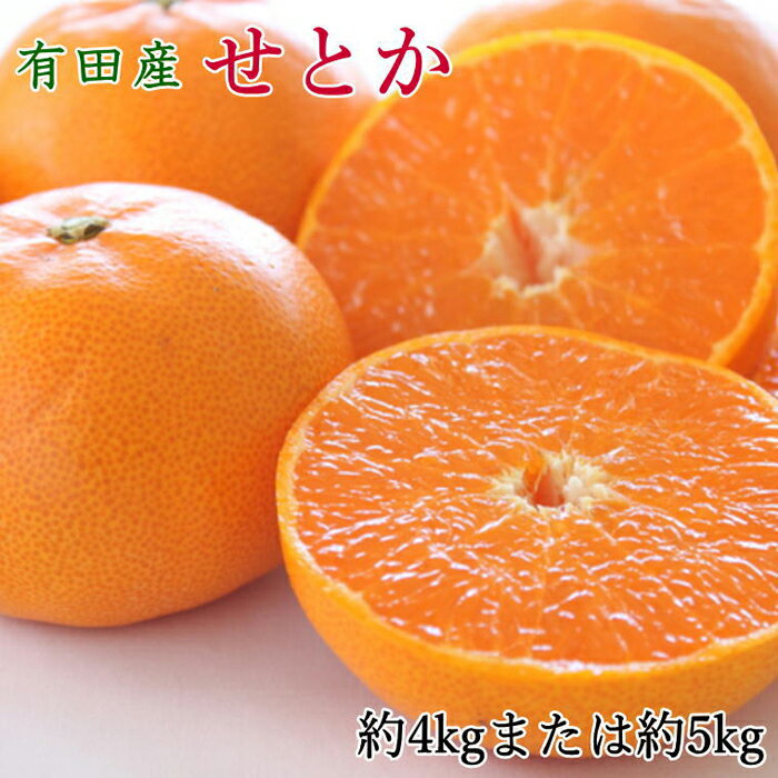 【ふるさと納税】一度は食べていただきたい「有田産のせとか」約4～5kg（サイズおまかせ）★2027年2月中旬頃より順次発送［TM138］ | 和歌山市 和歌山 楽天ふるさと 納税 支援品 返礼品 お取り寄せグルメ お取り寄せ 取り寄せ グルメ フルーツ 果物 くだもの 柑橘