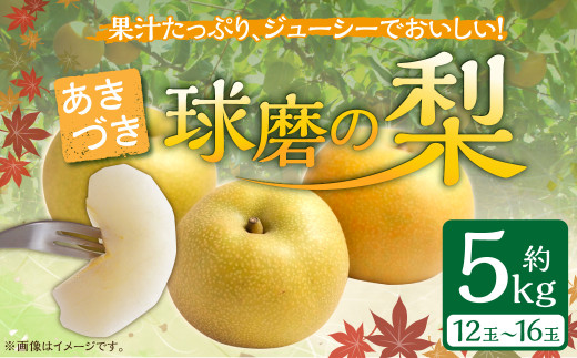 【発送時期：2026年8月下旬～9月上旬】熊本県ＪＡくま産　球磨の梨　あきづき 5kg（12玉～16玉）