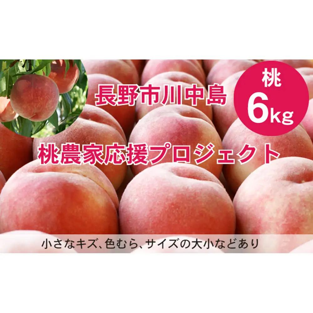 【※2027年7月以降発送分　先行受付】桃 6kg(長野市川中島の桃農家を応援プロジェクト) | 桃　もも