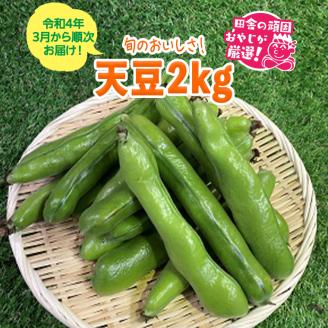 天豆2㎏【令和4年3月から順次お届け】田舎の頑固おやじが厳選！