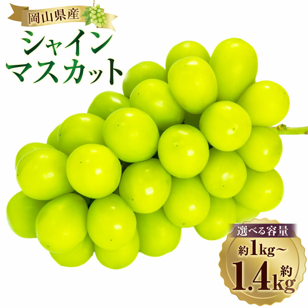 【ふるさと納税】＜選べる内容量＞ シャインマスカット 2房 約1kg / 約1.2kg / 約1.4kg マスカット ぶどう ブドウ 葡萄 種なし 皮ごと フルーツ くだもの 果物 果実 デザート ギフト 贈答 贈り物 岡山県産 国産 岡山県 美咲町 送料無料 【2026年10月下旬～11月下旬発送予定】