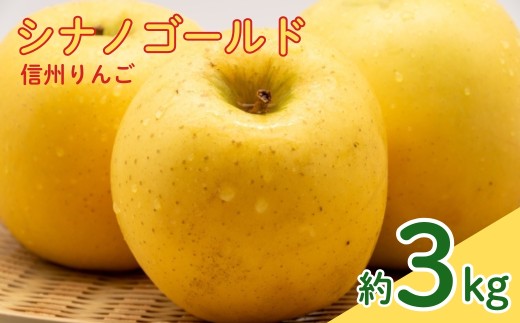 【2026年先行予約】シナノゴールド 約3kg| 林檎 リンゴ アップル 果物 くだもの フルーツ 3キロ お取り寄せ 産地直送 長野県産 信州林檎 信州りんご 信州 長野 千曲市