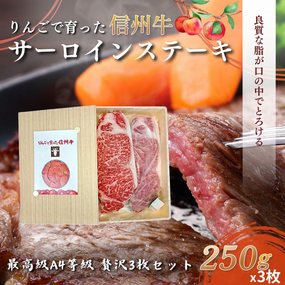 【ふるさと納税】牛肉 冷蔵 りんごで育った信州牛 3枚入り ステーキ用 サーロインステーキ 黒毛和牛 A4 サーロイン 牛 和牛 焼肉 焼き肉 BBQ バーベキュー 志賀高原山麓 長野県山ノ内町 長野 ギフト　お届け：寄附入金確認後、順次発送