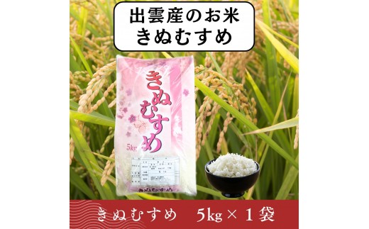 
                  【ふるさと納税】お米　令和8年産　出雲きぬむすめ5kg
                