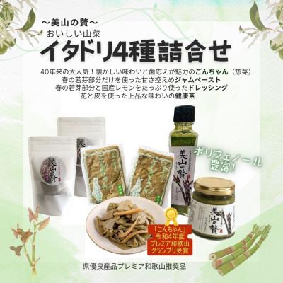 ふるさと納税 日高川町 【ごんちゃん+美山の贅】イタドリ4種詰合せセット