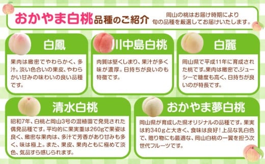 【先行予約】岡山白桃 等級 エース 約1kg《7月上旬‐8月下旬頃出荷》株式会社 はちや もも モモ 岡山 国産 フルーツ 果物 岡山県 浅口市 フルーツ モモ 果物 青果 旬 白桃 国産 岡山県産【