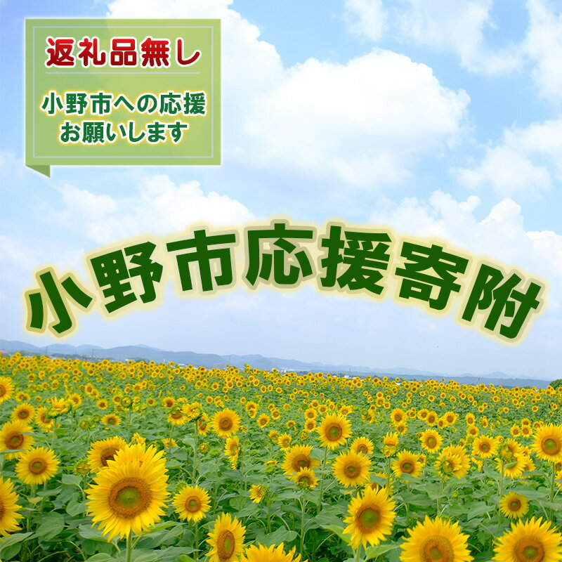 【ふるさと納税】【返礼品なし】小野市応援寄附　自治体にお任せ