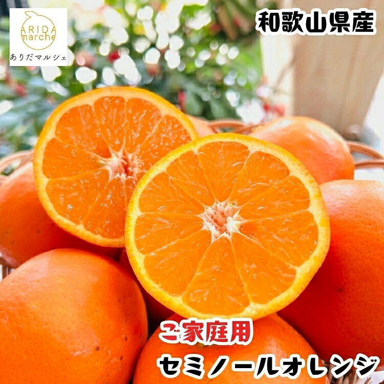 【ふるさと納税】 特選 セミノールオレンジ 1.5kg+200g(補償分)【選べる容量】約1.5kg 約3kg 約5kg 約7.5kg 約10kg（＋傷み補償分200g）※2027年4月上旬～5月下旬順次発送予定 / セミノール 有田みかん 有田 みかん 果物 フルーツ 柑橘 くだもの セミノールオレンジ 家庭用