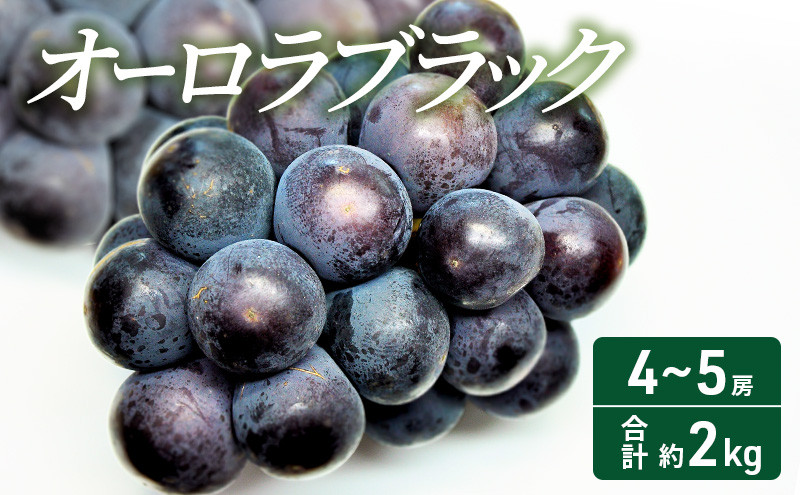 
[№5615-0403]2024年 先行予約 オーロラブラック 4～5房 合計約2kg 常温配送 ぶどう 葡萄 フルーツ 果物 岡山
