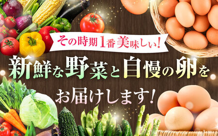 【全6回定期便】【数量限定】【新鮮たまごと旬の野菜セット(野菜7から8品程度＋40個) / たまご 生卵 タマゴ 詰合せ セット 熊本県 特産品【有限会社さんふれあ】[BHAK010]