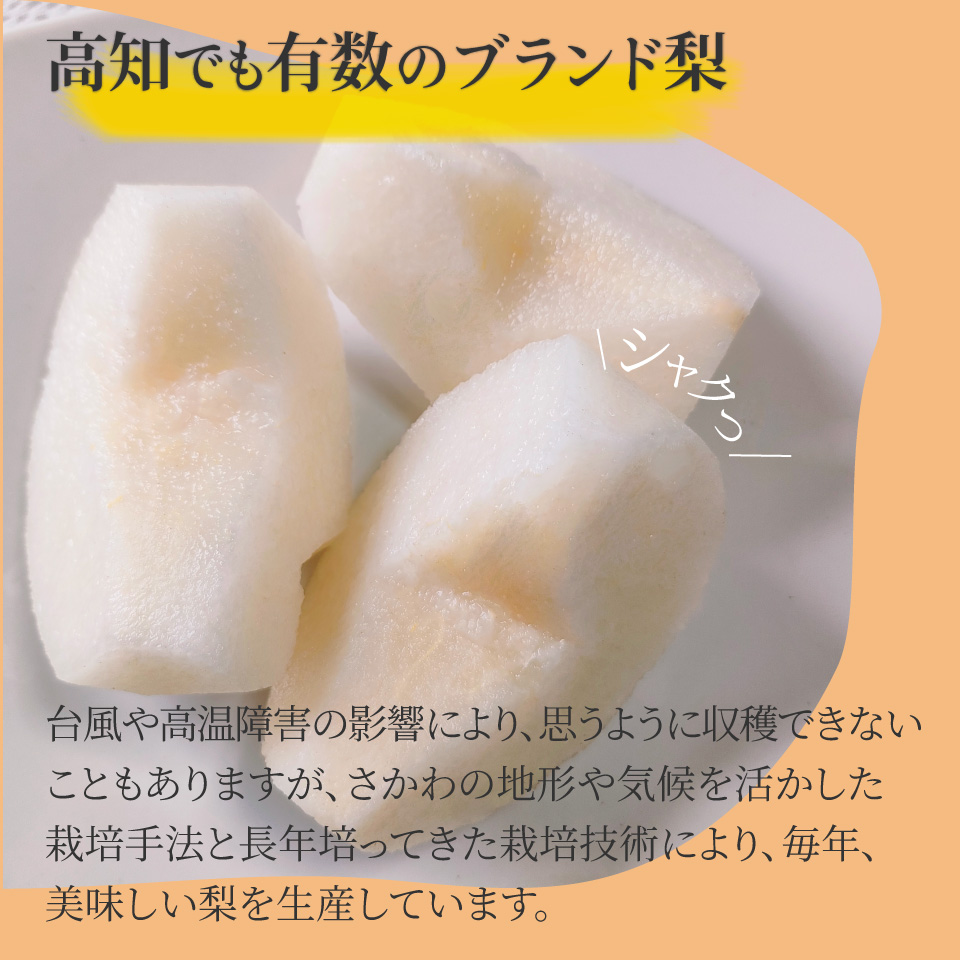 <2026年9月中旬頃より発送予定>　訳あり 規格外 あきづき梨 3kg（4～7玉）