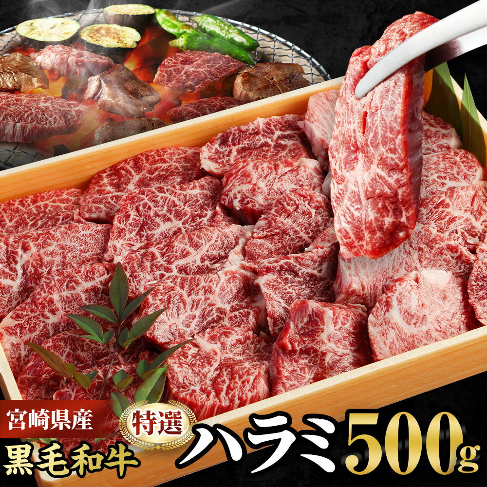 【ふるさと納税】＜宮崎県産黒毛和牛特選ハラミ500g＞ ※入金確認後、2025年6月末迄に順次出荷します。はらみ ホルモン 牛肉 特産品 牛乃屋 キャンプ 宮崎県 高鍋町 【冷凍】