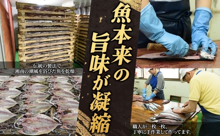 干物 詰合せ 6種 老舗干物店 こだわり 干物