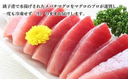 メバチマグロ 刺身 500g マグロ