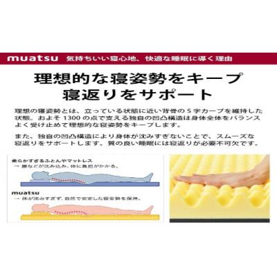 ふるさと納税 市川三郷町 昭和西川のムアツスリープスパPLATINUM　ハイバウンド　ダブルサイズ |  | 03